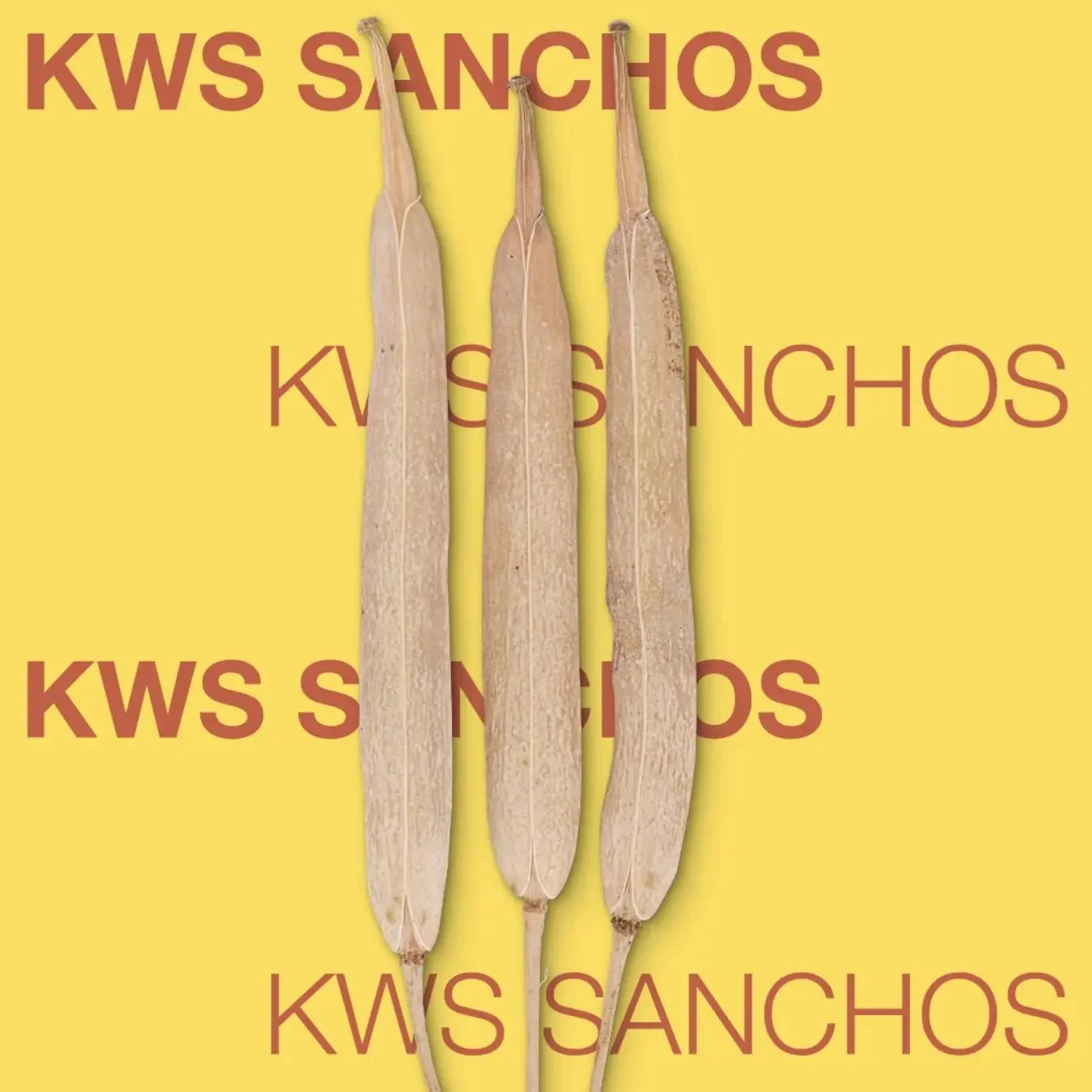 KWS SANCHOS
