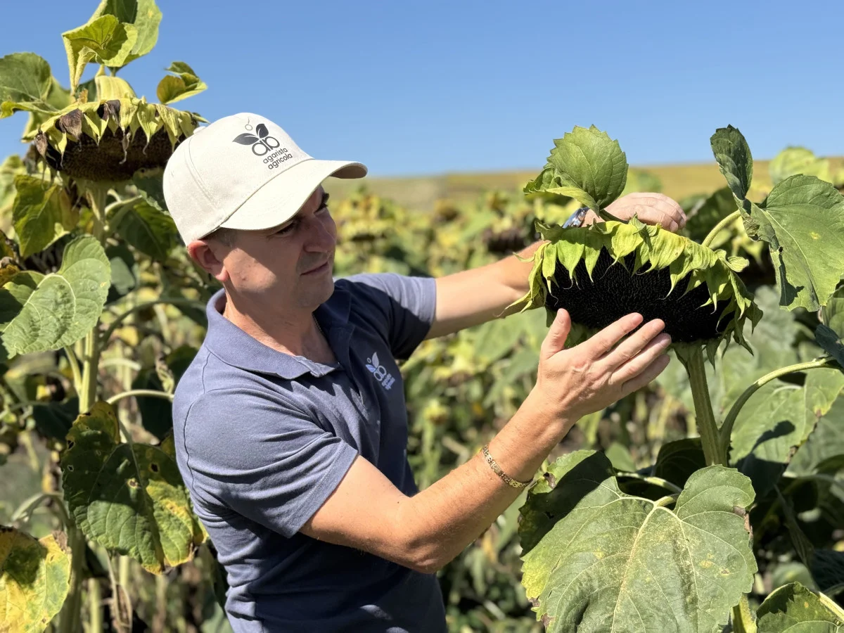 Nicolae Oboroceanu, agronom-șef Agarista Agricola